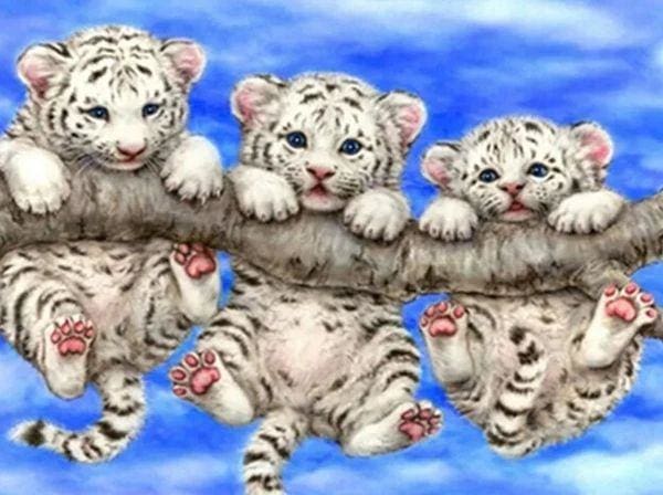 Broderie Diamant | Broderie Diamant - Bébés Tigres espiègles | animaux Broderie Animaux tigres | FiguredArt