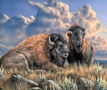 Charger l&#39;image dans la galerie, Broderie Diamant | Broderie Diamant - Bisons | animaux bisons and yacks Broderie Animaux | FiguredArt