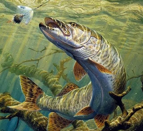 Broderie Diamant | Broderie Diamant - Brochet | animaux Broderie Animaux poissons | FiguredArt