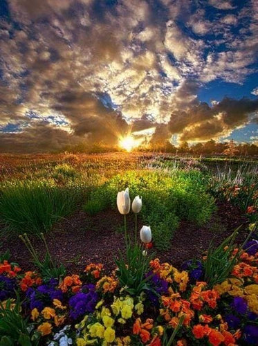 Broderie Diamant | Broderie Diamant - Champs de Fleurs | Broderie Fleurs fleurs | FiguredArt