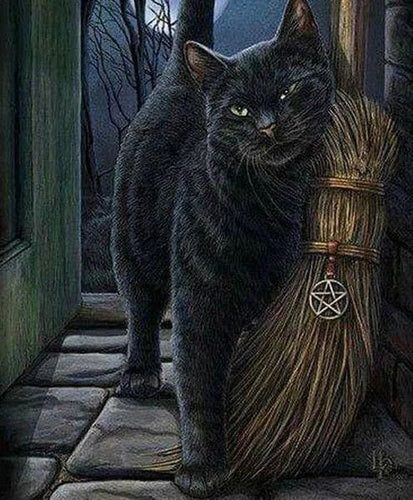 Broderie Diamant | Broderie Diamant - Chat Anarchique | animaux Broderie Animaux chats | FiguredArt