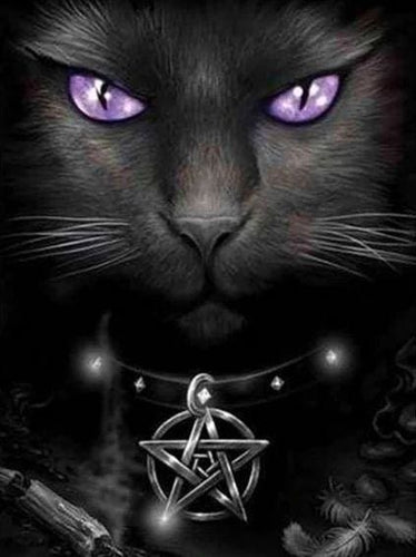 Broderie Diamant | Broderie Diamant - Chat aux Yeux violets | animaux Broderie Animaux chats | FiguredArt