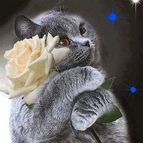 Broderie Diamant | Broderie Diamant - Chat et Rose Blanche | animaux Broderie Animaux Broderie Paysages chats paysages | FiguredArt