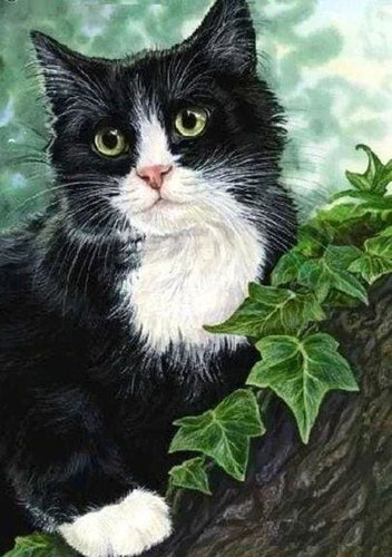 Broderie Diamant | Broderie Diamant - Chat noir et blanc | animaux Broderie Animaux chats | FiguredArt