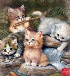 Broderie Diamant | Broderie Diamant - Chatons Joueurs | animaux Broderie Animaux chats | FiguredArt