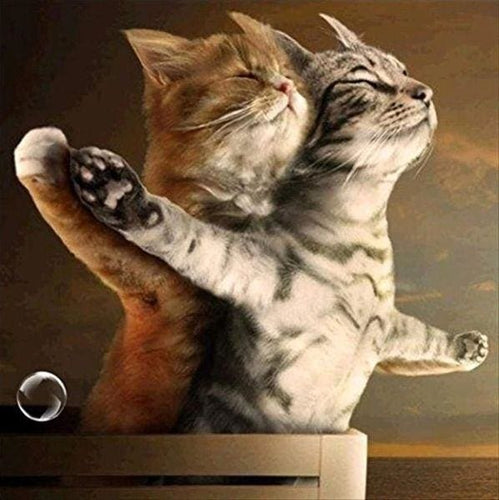 Broderie Diamant | Broderie Diamant - Chats Titanic | animaux Broderie Animaux chats | FiguredArt