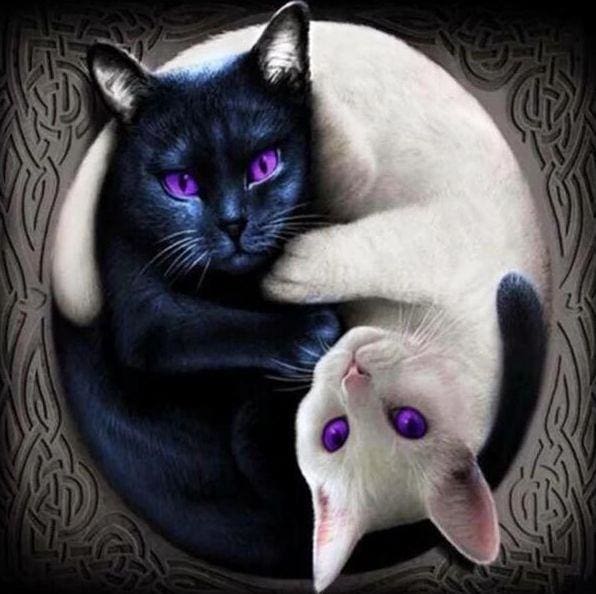 Broderie Diamant | Broderie Diamant - Chats Yin et Yang | animaux Broderie Animaux chats | FiguredArt