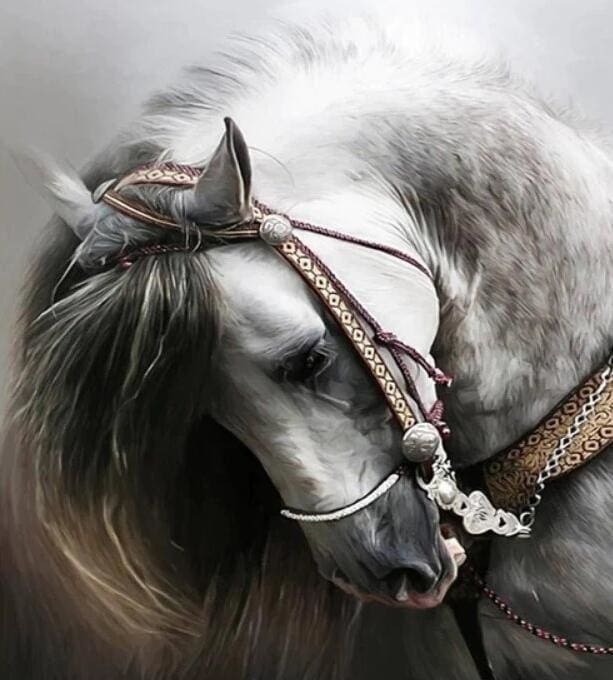 Broderie Diamant | Broderie Diamant - Cheval gris élégant | animaux Broderie Animaux chevaux | FiguredArt