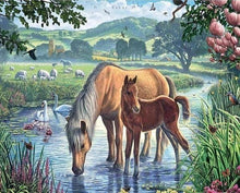 Charger l&#39;image dans la galerie, Broderie Diamant | Broderie Diamant - Chevaux et Ruisseau | animaux Broderie Animaux chevaux | FiguredArt