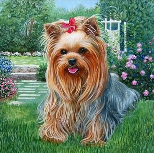 Broderie Diamant | Broderie Diamant - Chien Bichon Maltais | animaux Broderie Animaux chiens | FiguredArt