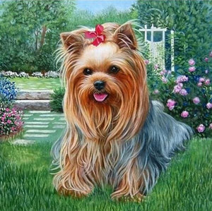 Broderie Diamant | Broderie Diamant - Chien Bichon Maltais | animaux Broderie Animaux chiens | FiguredArt