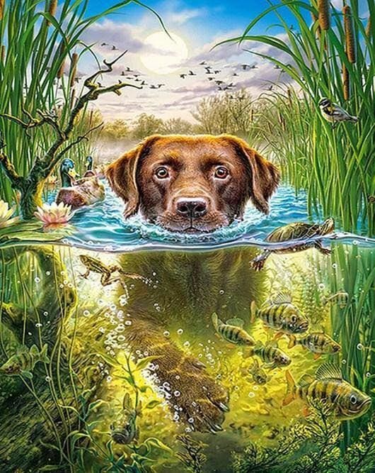 Broderie Diamant | Broderie Diamant - Chien dans le ruisseau | animaux Broderie Animaux chiens | FiguredArt