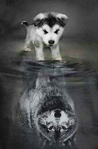 Broderie Diamant | Broderie Diamant - Chien et Reflet de Loup | animaux Broderie Animaux chiens lapins loups | FiguredArt
