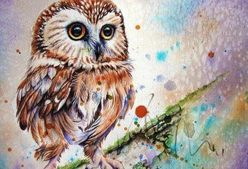 Broderie Diamant | Broderie Diamant - Chouette Design | animaux Broderie Animaux chouettes et hiboux | FiguredArt