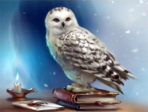 Broderie Diamant | Broderie Diamant - Chouette et Livre | animaux Broderie Animaux chouettes et hiboux | FiguredArt