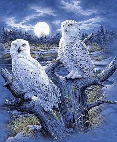 Broderie Diamant | Broderie Diamant - Chouettes et Lune | animaux Broderie Animaux chouettes et hiboux | FiguredArt