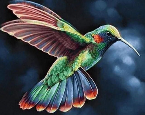 Broderie Diamant | Broderie Diamant - Colibri dans la Nuit | animaux Broderie Animaux | FiguredArt