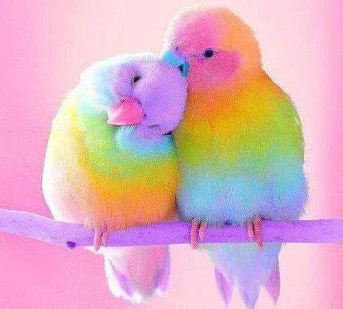 Broderie Diamant | Broderie Diamant - Couple de Perroquets | animaux Broderie Animaux oiseaux perroquets | FiguredArt