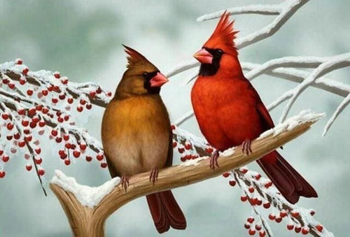 Broderie Diamant | Broderie Diamant - Couple dOiseaux sur Branche | animaux Broderie Animaux oiseaux | FiguredArt