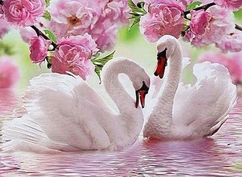 Broderie Diamant | Broderie Diamant - Cygnes au Printemps | animaux Broderie Animaux cignes oiseaux | FiguredArt