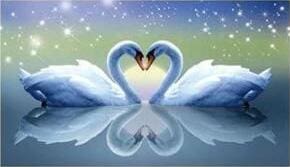Broderie Diamant | Broderie Diamant - Cygnes et Coeur | animaux Broderie Animaux Broderie Romantique cignes oiseaux | FiguredArt