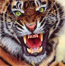 Charger l&#39;image dans la galerie, Broderie Diamant | Broderie Diamant - Dents de Tigre | animaux Broderie Animaux tigres | FiguredArt