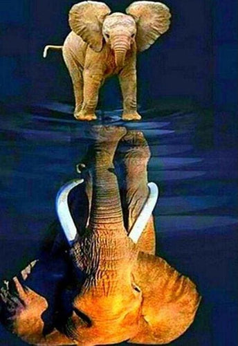 Broderie Diamant | Broderie Diamant - Eléphant et son reflet | animaux Broderie Animaux éléphants | FiguredArt