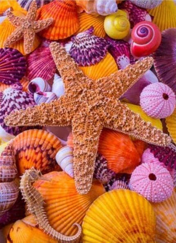 Broderie Diamant | Broderie Diamant - Etoiles de Mer et Coquillages colorés | animaux Broderie Animaux | FiguredArt