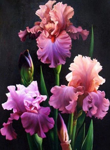 Broderie Diamant | Broderie Diamant - Floraison dIris | Broderie Fleurs fleurs | FiguredArt