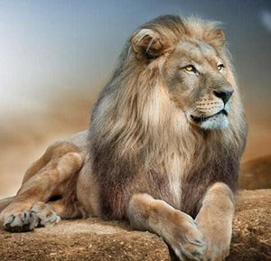 Broderie Diamant | Broderie Diamant - Grand Lion | animaux Broderie Animaux lions | FiguredArt