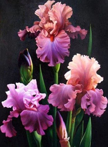 Broderie Diamant | Broderie Diamant - Jolies Fleurs | Broderie Fleurs fleurs | FiguredArt