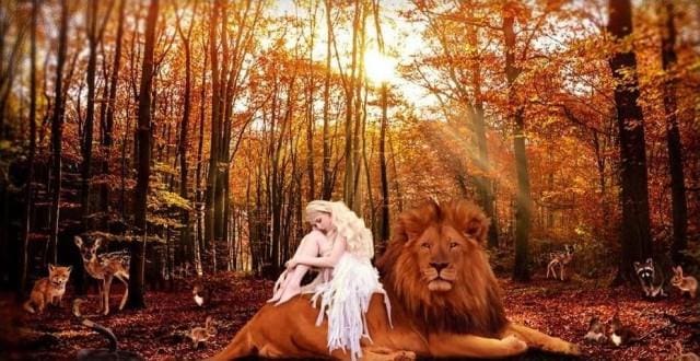 Broderie Diamant | Broderie Diamant - La Belle et le Lion | animaux Broderie Animaux lions | FiguredArt