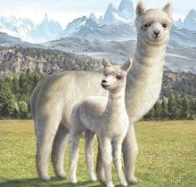 Charger l&#39;image dans la galerie, Broderie Diamant | Broderie Diamant - Lama | animaux Broderie Animaux | FiguredArt