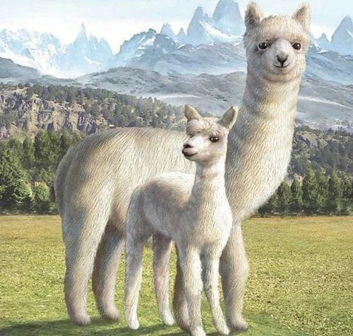 Broderie Diamant | Broderie Diamant - Lama | animaux Broderie Animaux | FiguredArt