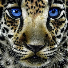 Charger l&#39;image dans la galerie, Broderie Diamant | Broderie Diamant - Léopard aux Yeux bleus | animaux Broderie Animaux léopards | FiguredArt