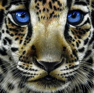 Broderie Diamant | Broderie Diamant - Léopard aux Yeux bleus | animaux Broderie Animaux léopards | FiguredArt