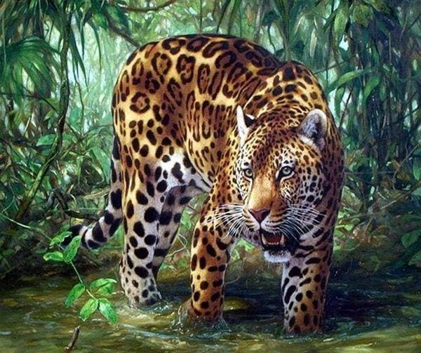 Broderie Diamant | Broderie Diamant - Léopard dans la Jungle | animaux Broderie Animaux léopards | FiguredArt