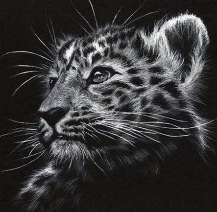 Broderie Diamant | Broderie Diamant - Léopard noir et blanc | animaux Broderie Animaux léopards | FiguredArt