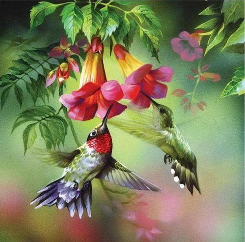 Broderie Diamant | Broderie Diamant - Les Colibris | animaux Broderie Animaux | FiguredArt