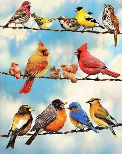 Broderie Diamant | Broderie Diamant - Lignes dOiseaux | animaux Broderie Animaux oiseaux | FiguredArt