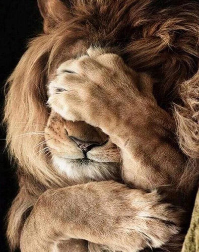 Broderie Diamant | Broderie Diamant - Lion peureux | animaux Broderie Animaux lions | FiguredArt