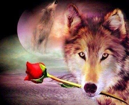 Broderie Diamant | Broderie Diamant - Loup Romantique | animaux Broderie Animaux Broderie Romantique lapins loups | FiguredArt