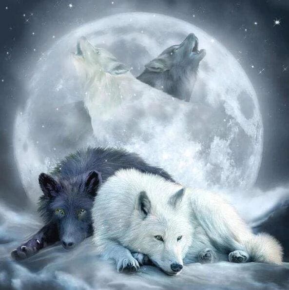 Broderie Diamant | Broderie Diamant - Loups hurlant à la Lune | animaux Broderie Animaux lapins loups | FiguredArt