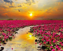 Charger l&#39;image dans la galerie, Broderie Diamant | Broderie Diamant - Nénuphars | Broderie Paysages paysages | FiguredArt