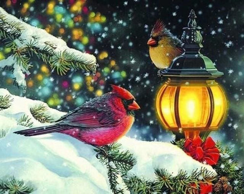 Broderie Diamant | Broderie Diamant - Oiseaux et Lanterne | animaux Broderie Animaux oiseaux | FiguredArt