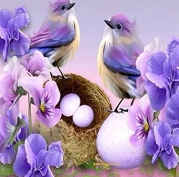 Broderie Diamant | Broderie Diamant - Oiseaux et Oeufs | animaux Broderie Animaux oiseaux | FiguredArt