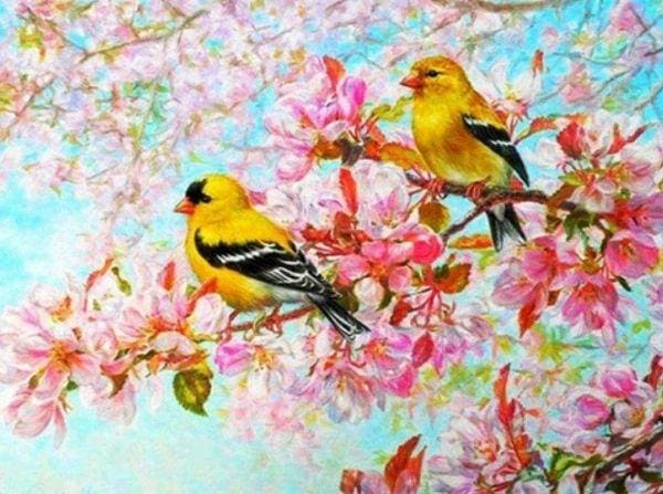 Broderie Diamant | Broderie Diamant - Oiseaux Jaunes | animaux Broderie Animaux oiseaux | FiguredArt
