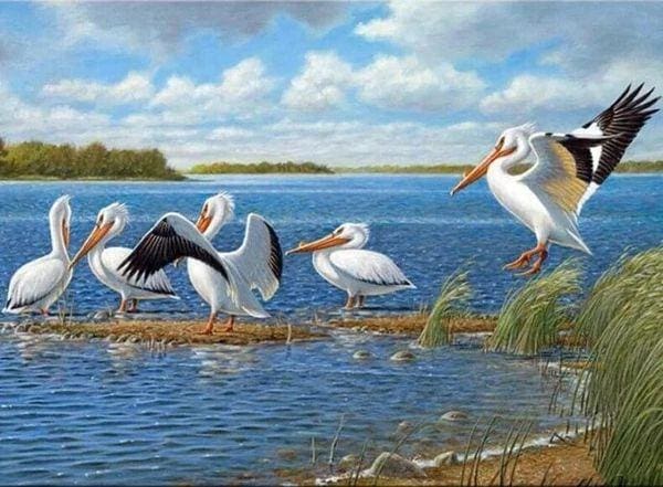 Broderie Diamant | Broderie Diamant - Oiseaux sur lEau | animaux Broderie Animaux oiseaux | FiguredArt