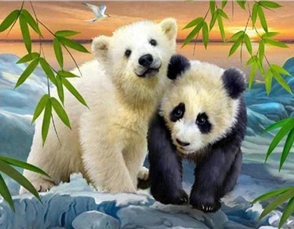 Broderie Diamant | Broderie Diamant - Ours et Panda | animaux Broderie Animaux ours pandas | FiguredArt