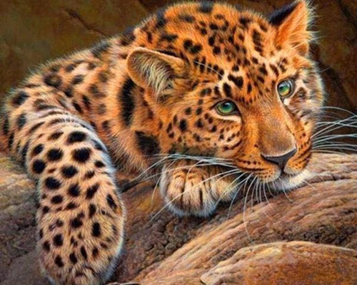 Broderie Diamant | Broderie Diamant - Panthère | animaux Broderie Animaux panthère | FiguredArt